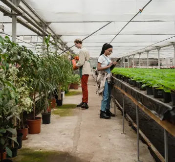 Petits Fruits : Conditionnements idéals pour la Revente en Pépinières et Jardineries