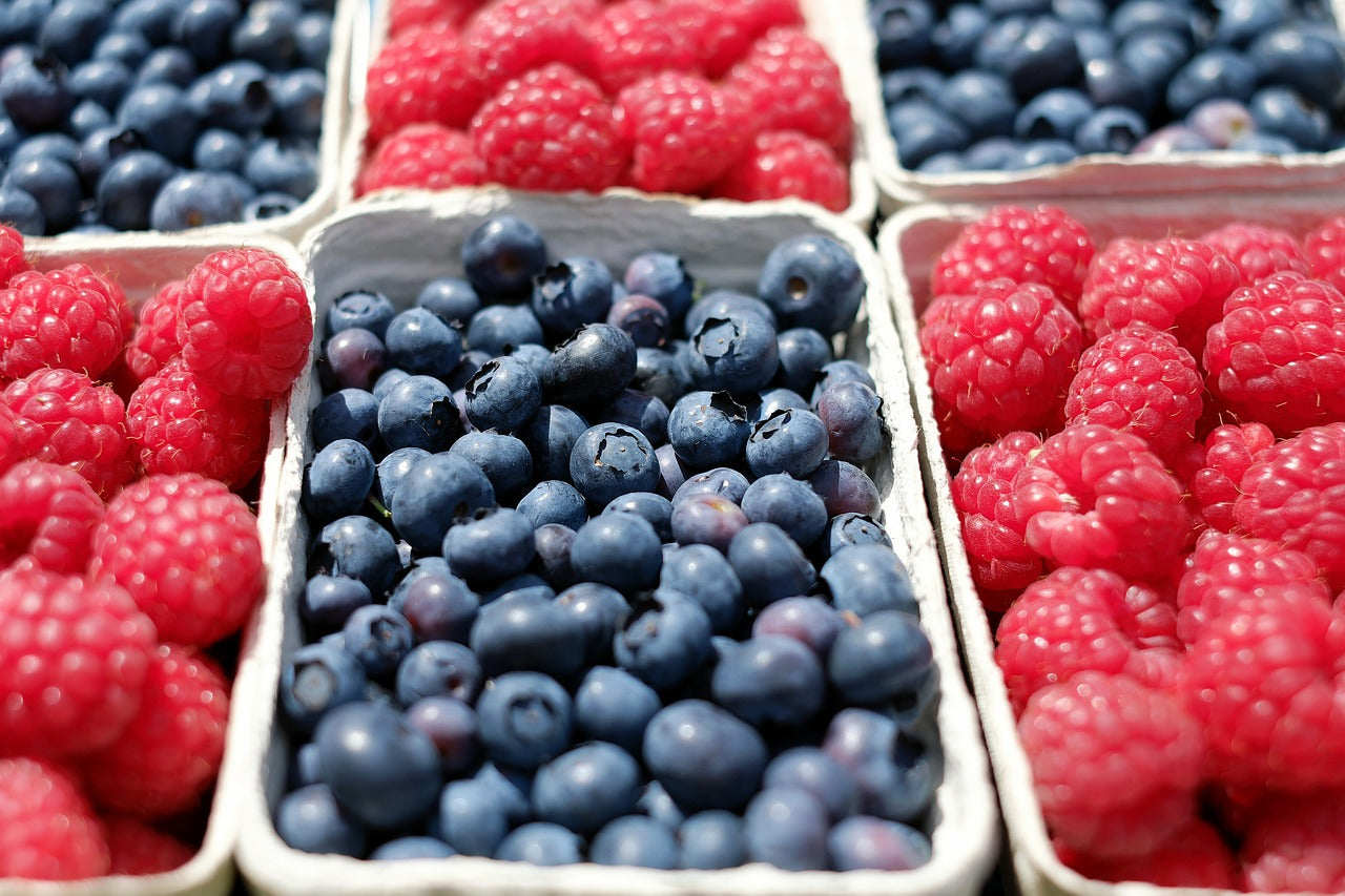 Nos Petits Fruits Bio de qualité pour maraîchers professionnels