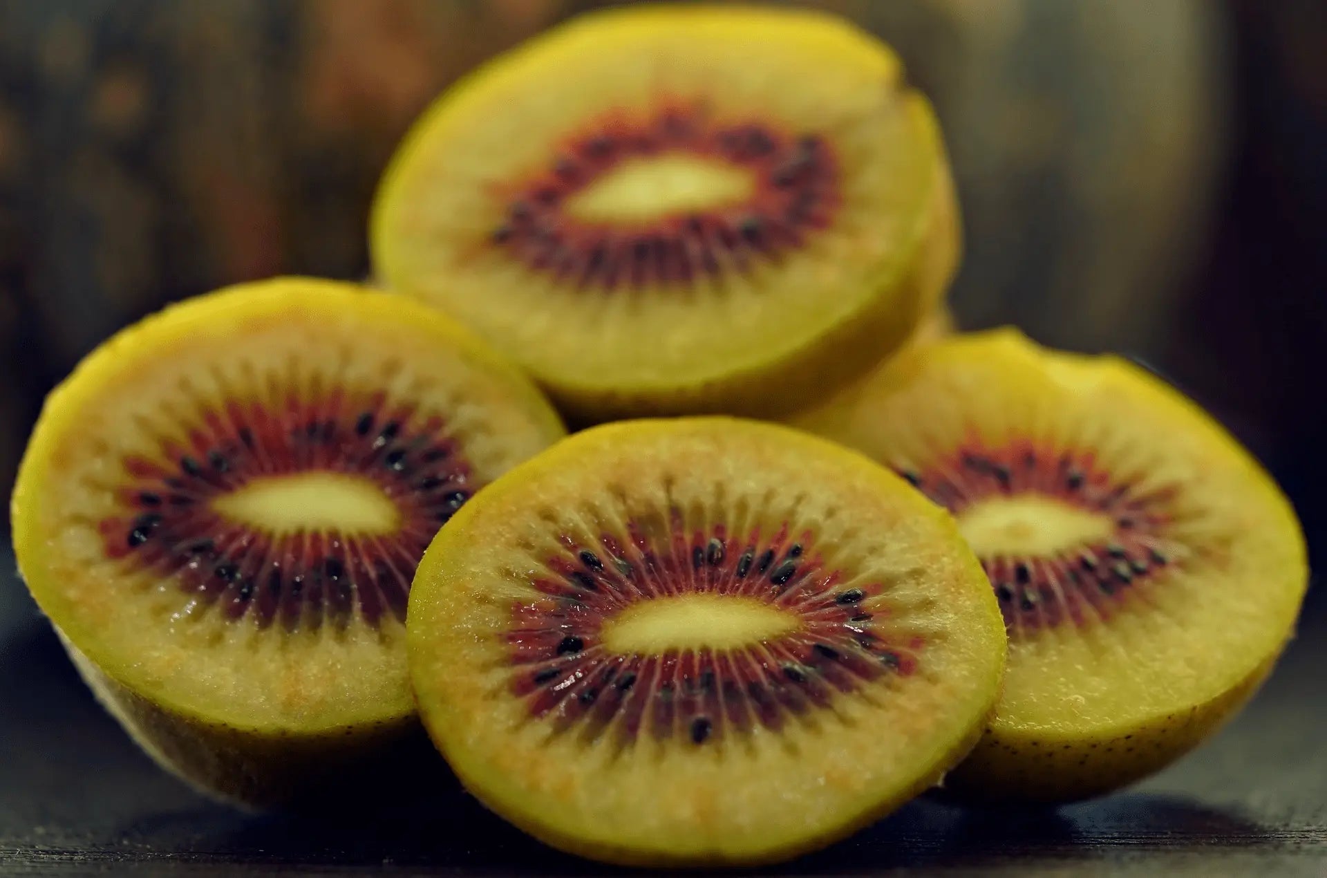 Plant Kiwaï Pourpre Actinidia Purpurea Hardy Red - Godet 9 Cm