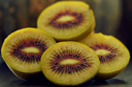 Plant Kiwaï Pourpre Actinidia Purpurea Hardy Red - Godet 9 Cm