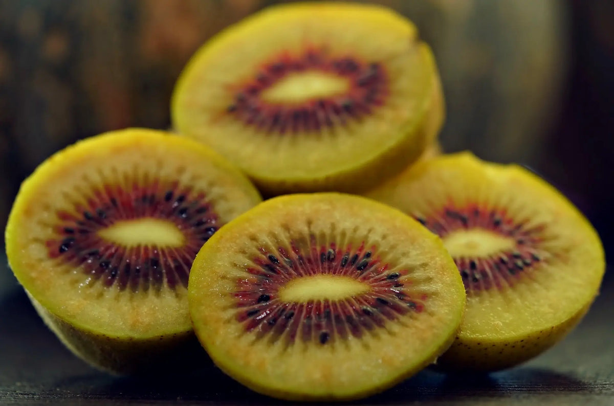 Plant Kiwaï Bingo