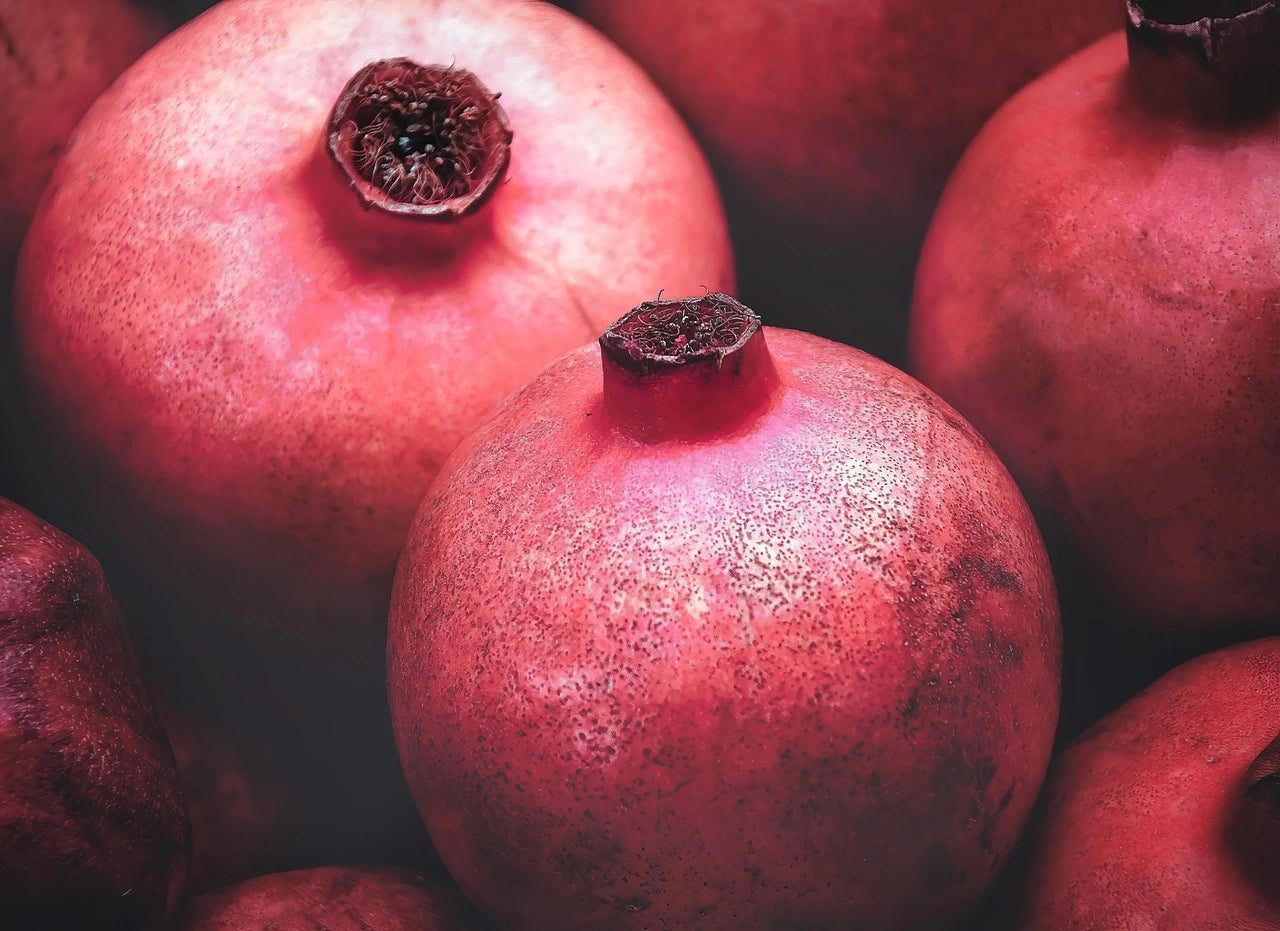 Plants de Grenadier Rouge de qualité livraison toute France